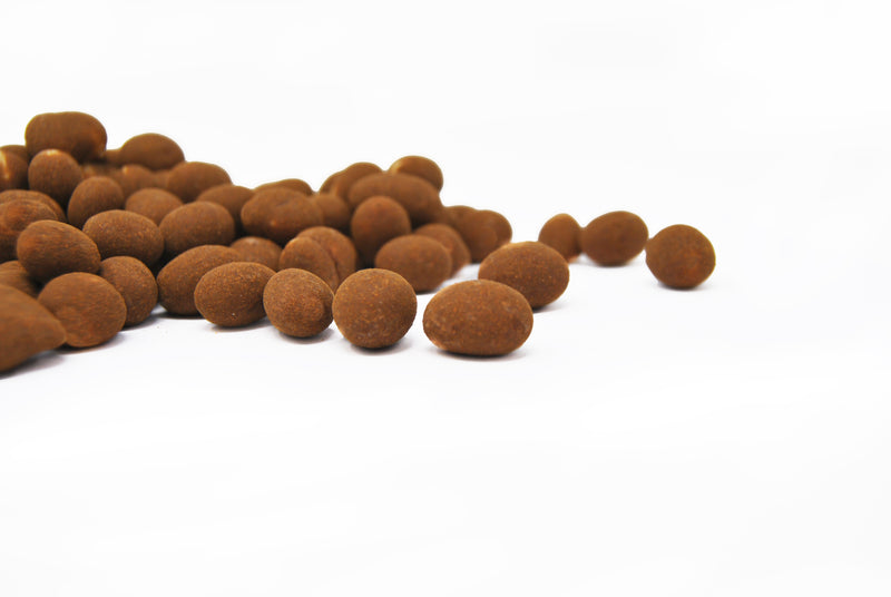 Organic Peanuts with Chocolate and Cocoa